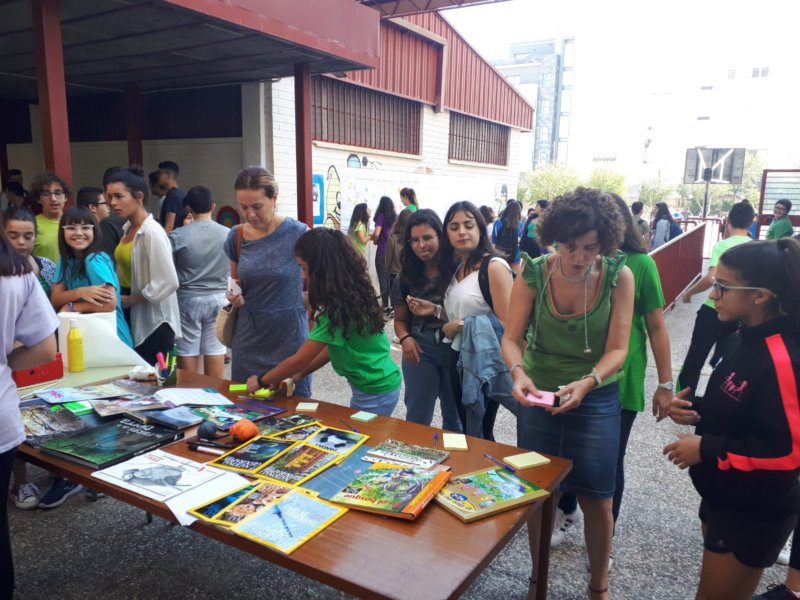 Recreos activos